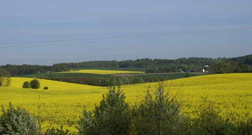 Utsikt från fönstret i början av maj 2009